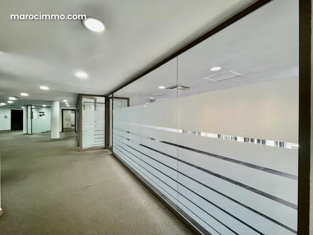 Plateau de bureau 228 m² Quartier Racine — 5