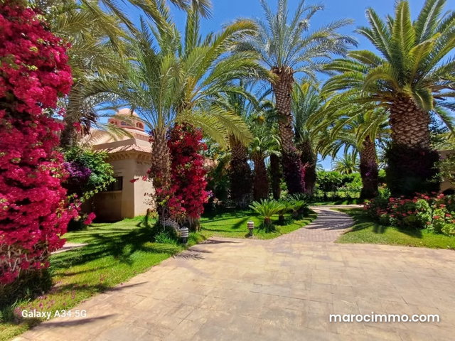 Somptueuse Propriété à vendre dans la Palmeraie — 4