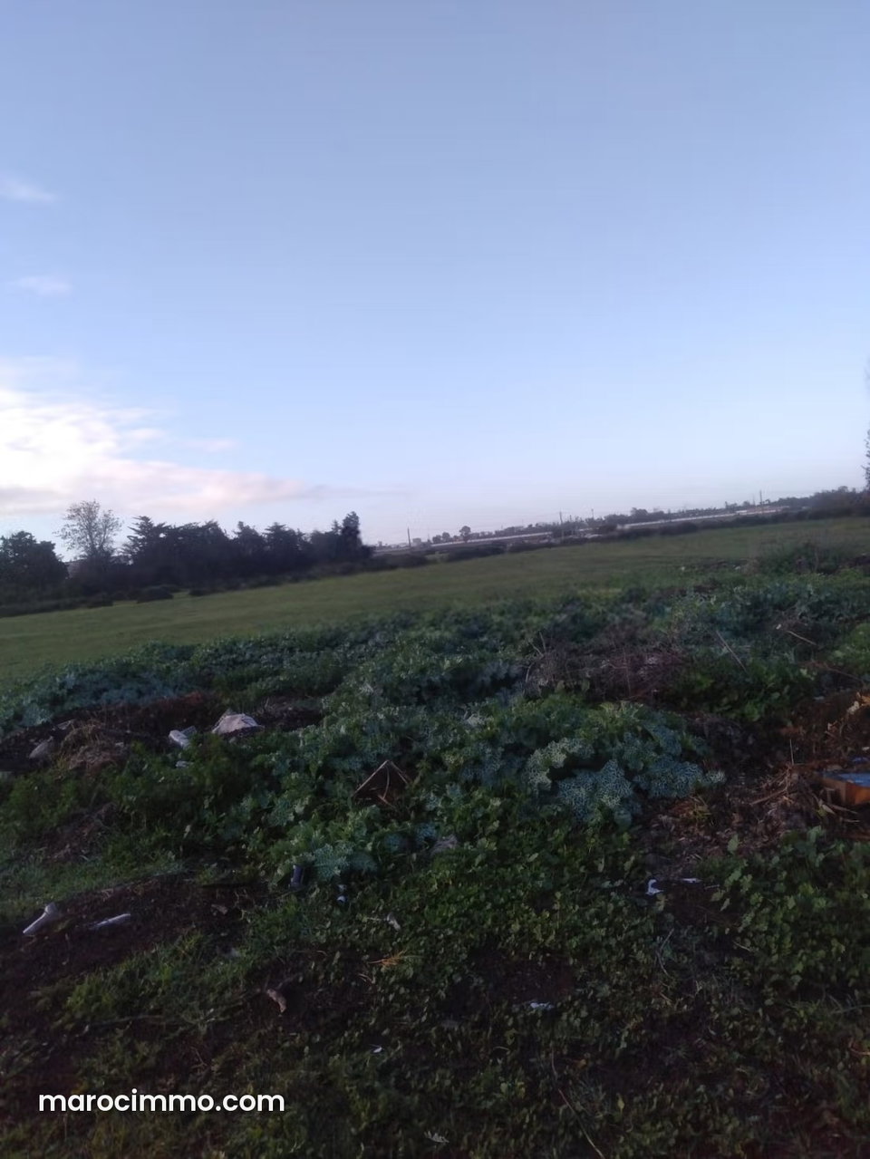 Vente un terrain de 1 hectare à souissi