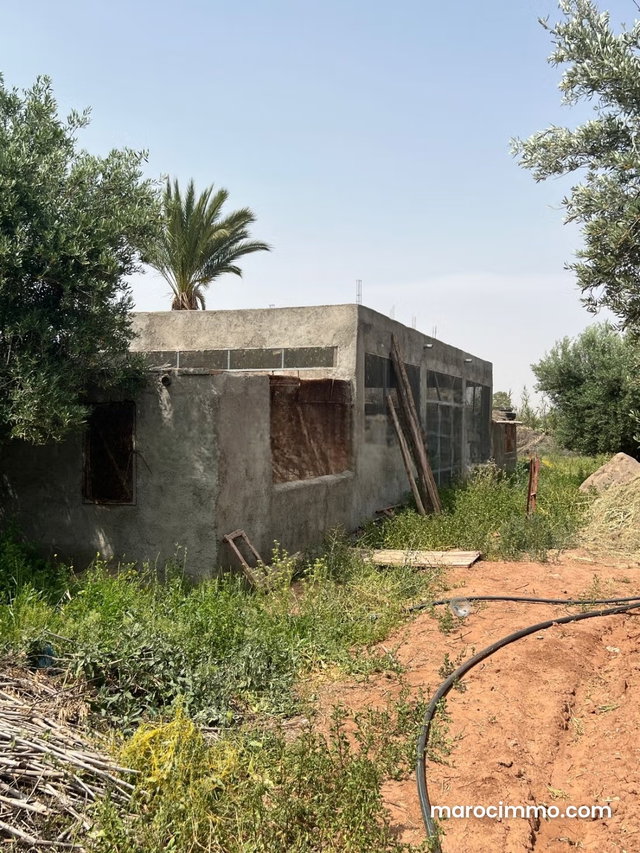 Ferme 2 hectares à vendre route de Fès Marrakech — 4