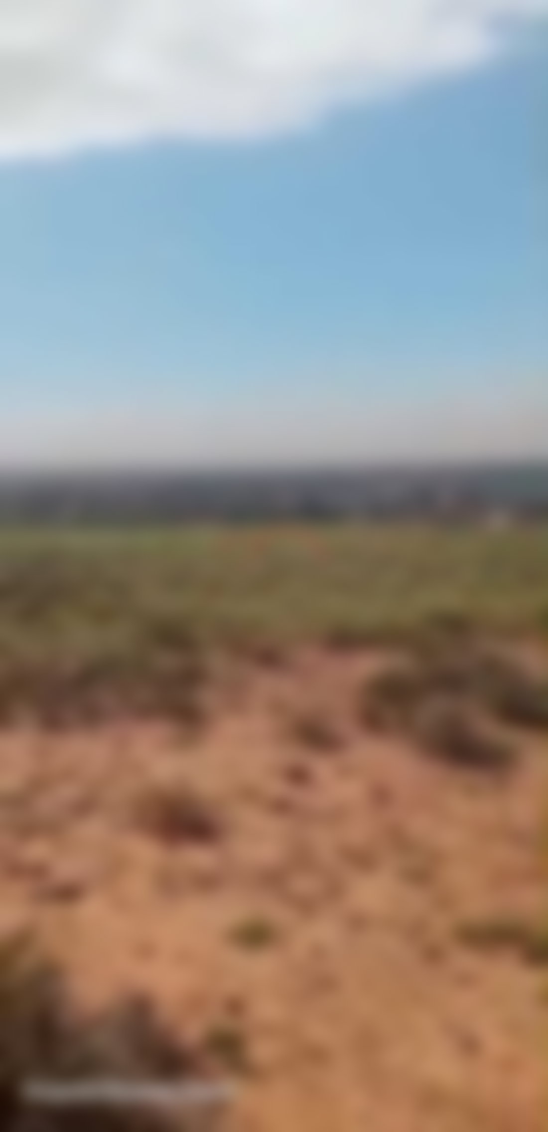 أرض رحبة للبيع بطريق أوريكة مراكش