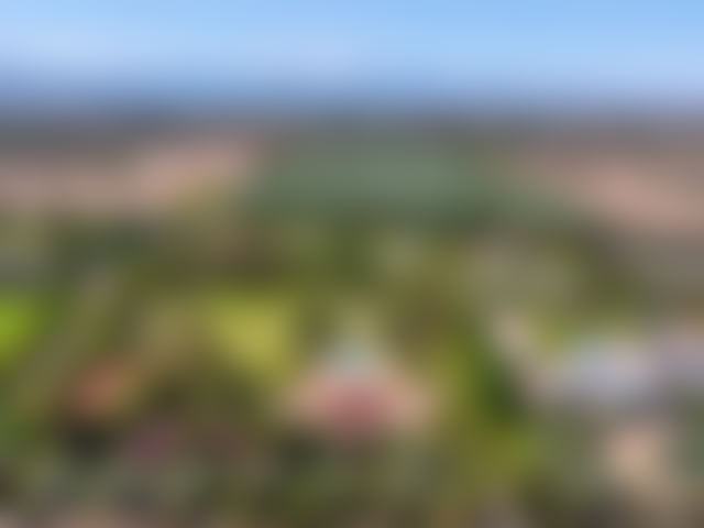 Villa à Amelkis, un domaine arboré au calme à Marrakech — Marrakech
