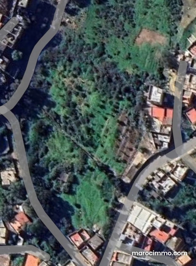 Sale of land for villa use in Boubana — 3