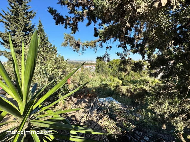 Vente de terrain usage villa à boubana — طنجة