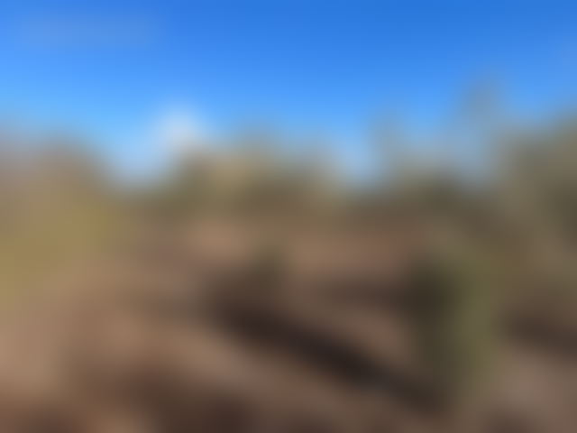 Terrain agricole 32 000 m² à vendre à Mediouna — Mediouna