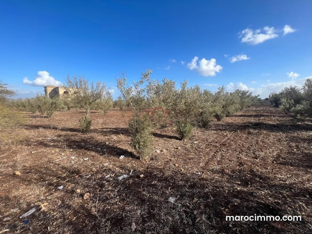 Sale Agricultural Land in Mediouna — 5