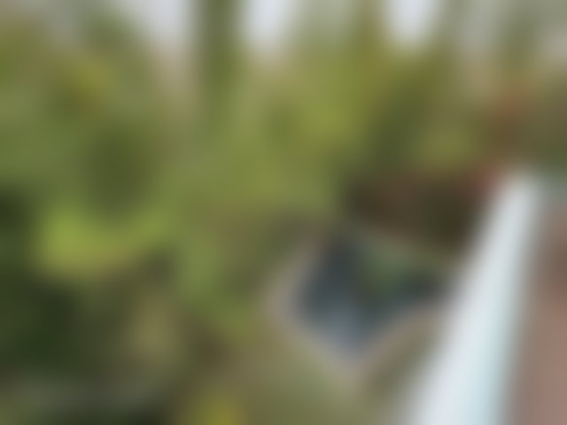 450 sqm Sea-View Villa with Pool and Lift, La Siesta, Mohammedia — 3