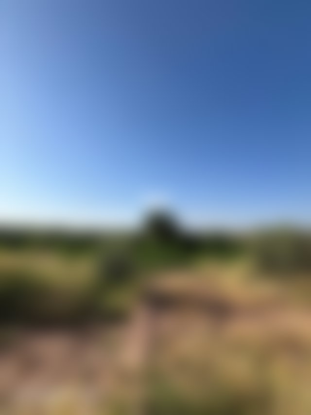 Villa 700 m² sur 2 hectares, Route de Fès, Marrakech — 4
