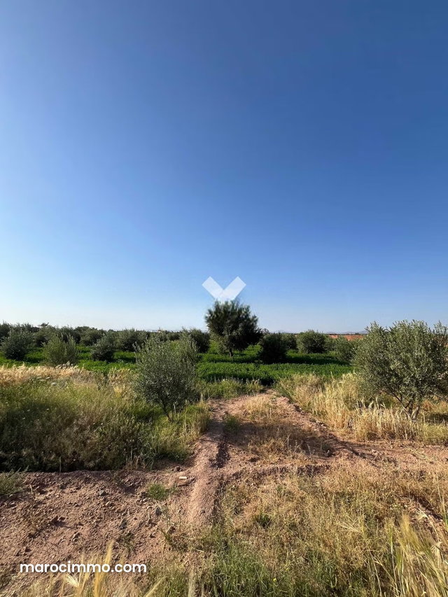 Villa à Vendre de 22170.0 m² à Marrakech, Route De Fes Oulad Jelal — 4