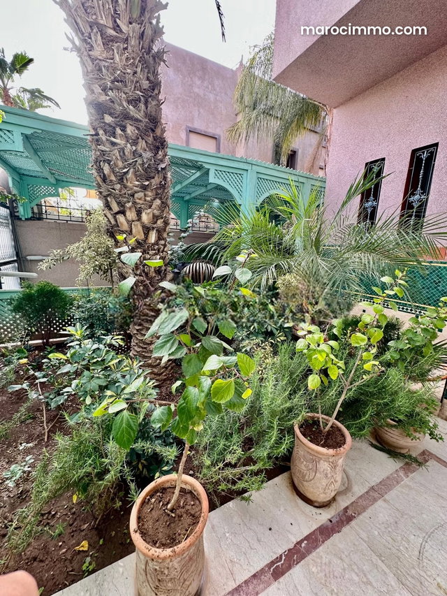 À Vendre Magnifique Villa á Marrakech proche Hivernage — 4