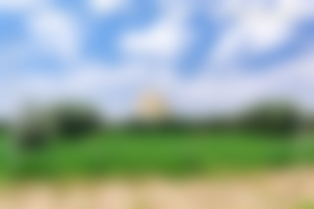 Ferme de 4 hectares avec oliviers, Route d'Agadir, Marrakech — 5