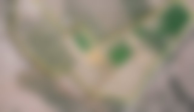 Ferme de 4 hectares avec oliviers, Route d'Agadir, Marrakech — 2