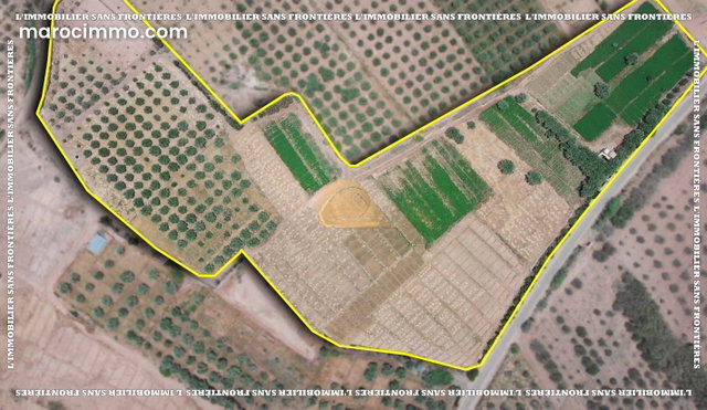 Farm for Sale — 4 Hectare Souihla, Marrakech — 2