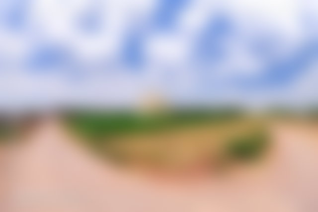 Ferme de 4 hectares avec oliviers, Route d'Agadir, Marrakech — 3