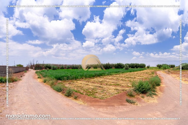 Farm for Sale — 4 Hectare Souihla, Marrakech — 3