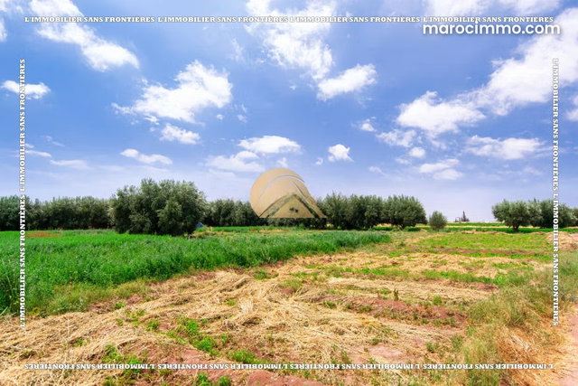 Farm for Sale — 4 Hectare Souihla, Marrakech — 4