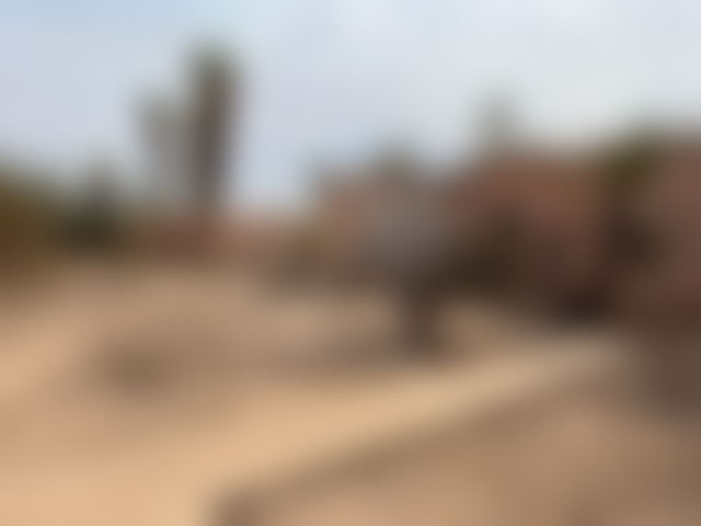 فيلا فاخرة للبيع بحي النخيل في مراكش — مراكش