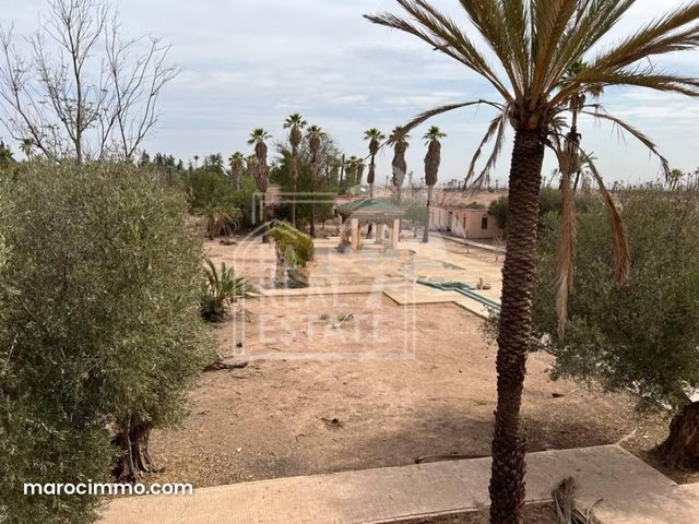 À VENDRE – Somptueuse Villa à la Palmeraie, Marrakech — 4