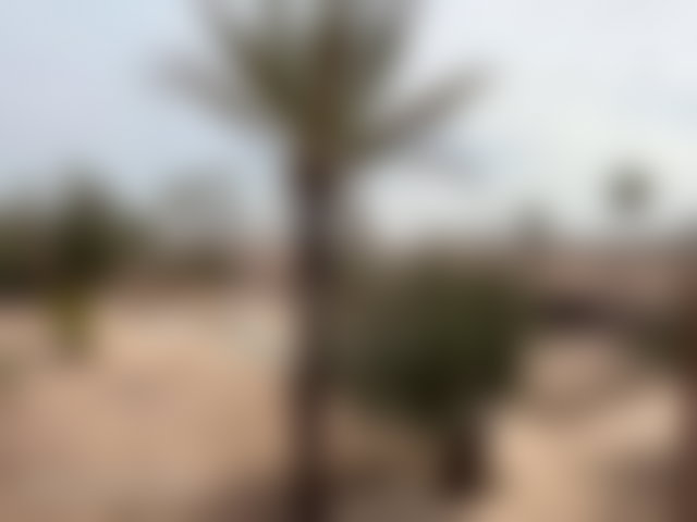 فيلا فاخرة للبيع بحي النخيل في مراكش — 5