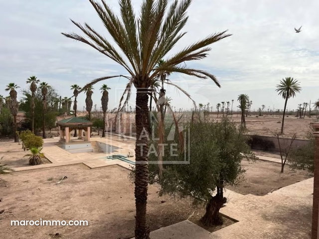 À VENDRE – Somptueuse Villa à la Palmeraie, Marrakech — 5