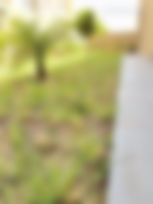 Villa neuve 335 m², piscine et jardin, Route de Tahanaoute — 4