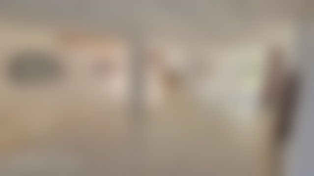 Villa 5 chambres avec piscine à louer, Anfa, Casablanca — 4