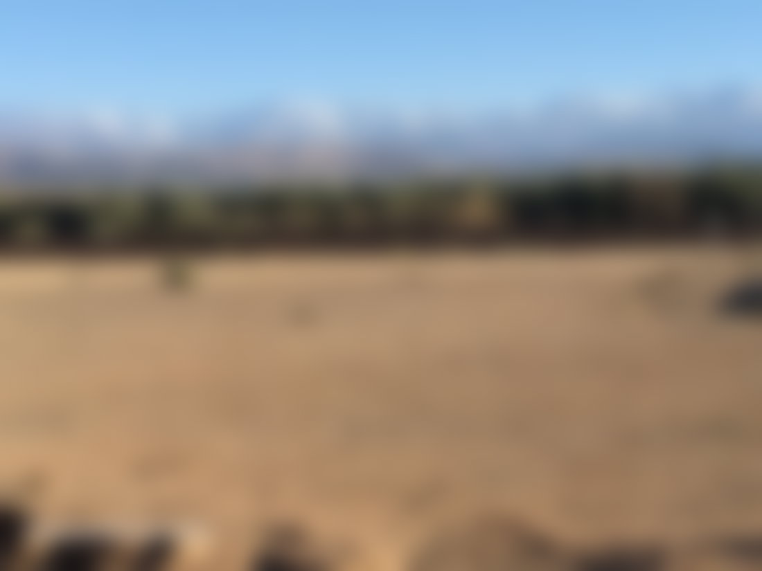 Terrain 10 000 m² Route d'Ourika, Marrakech