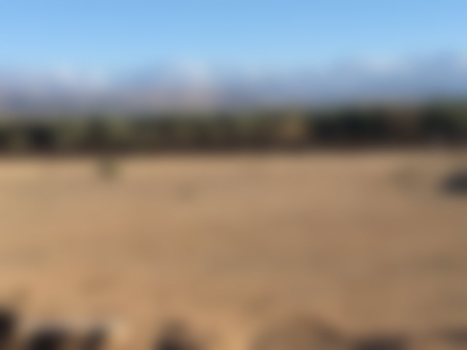 Terrain 10 000 m² Route d'Ourika, Marrakech