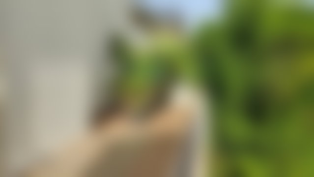 Villa 360 m² avec jardin et terrasse, Californie, Casablanca — 3