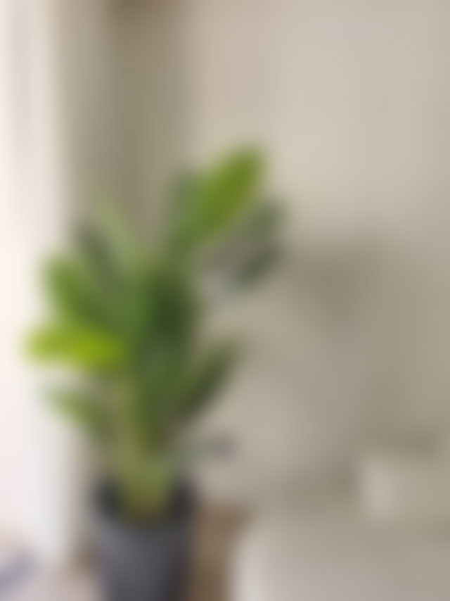 Appartement meublé aux Princesses Casablanca avec garage — 5