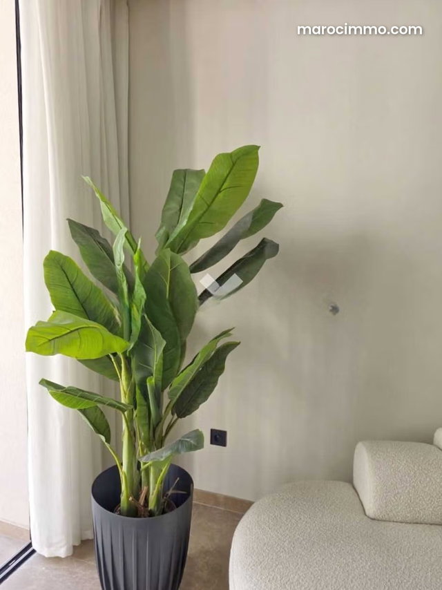Appartement à Louer de 65.0 m² à Casablanca, Les Princesses — 5