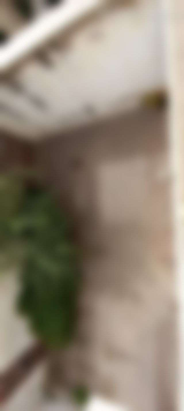 فرصة منزل 200 م² بحديقة وكراج في عين السبع الدار البيضاء — 3