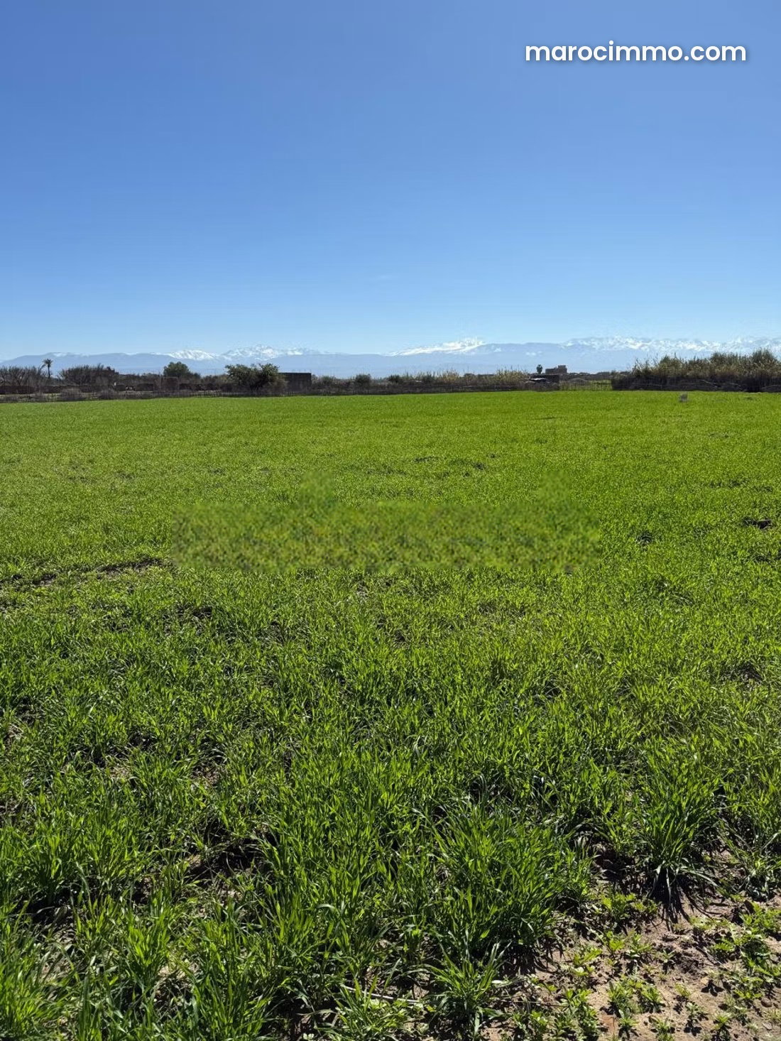 Terrain 12 500 m² Route de Fès Marrakech à vendre — Marrakech