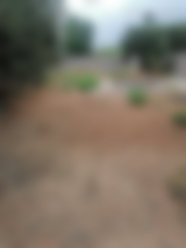 أرض 645 م² مع مسبح للبيع بطريق أوريكا مراكش — 2