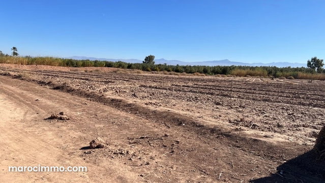Beau terrain à la vente à bab atlas, Route de Fez. Surface de 1070 m² — 4