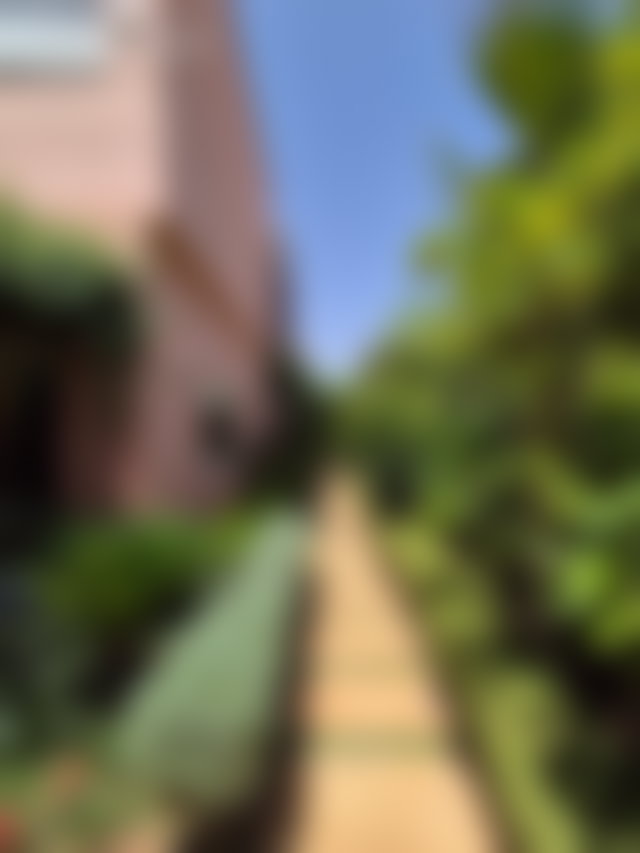 Villa 250 m² Route d'Ourika, Marrakech, calme et familiale — 2