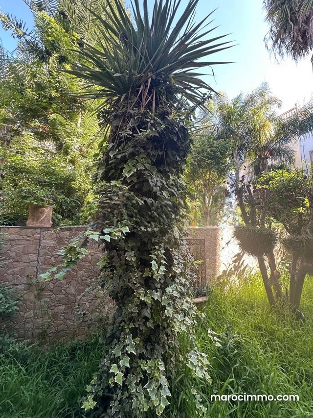 Somptueuse maison à vendre à Tanja Balia. 5 grandes pièces — 2