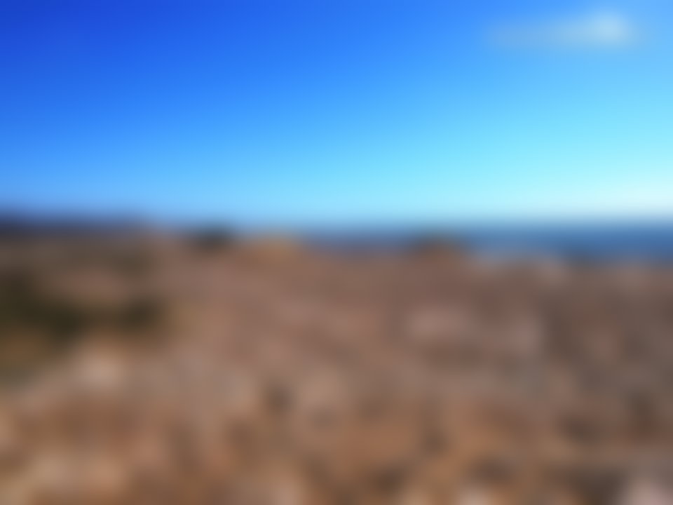 أرض 32 000 م² بإطلالة بحرية على طريق آسفي الصويرة
