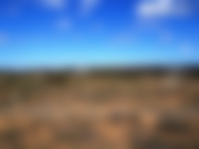 أرض 32 000 م² بإطلالة بحرية على طريق آسفي الصويرة — 3