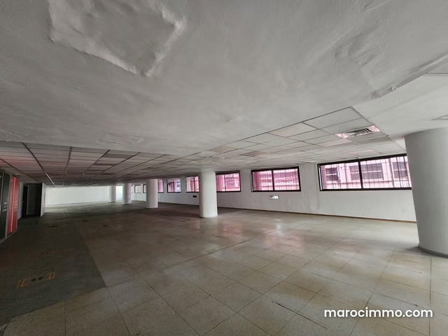 Bureau 246 m² aménagé open space, centre ville — 2