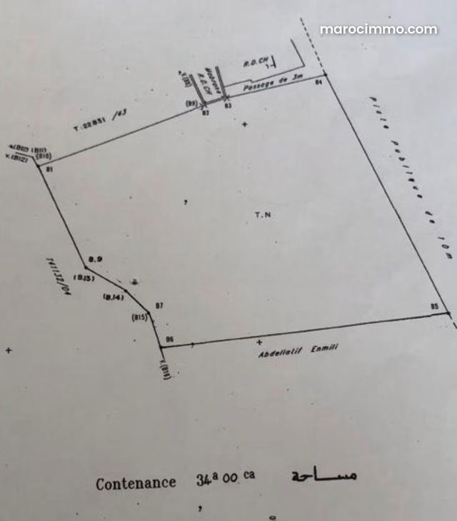 Terrain à vendre – 3 400 m² – Palmeraie Marrakech — Marrakech