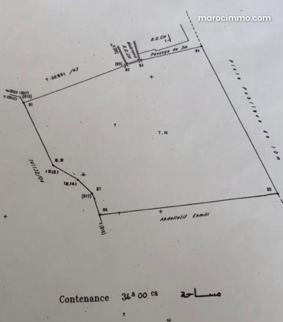Terrain à vendre – 3 400 m² – Palmeraie Marrakech