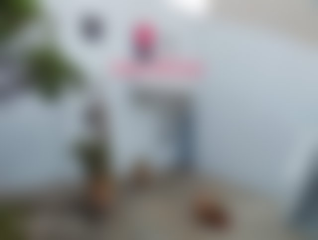 Villa 600 m² à rénover, Les Orangers, Rabat — 2