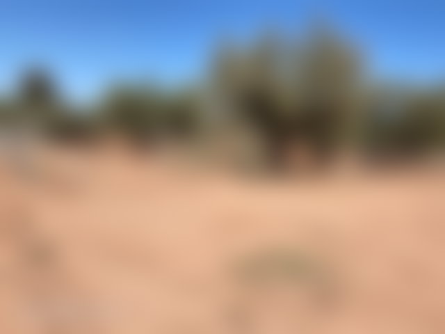 أرض فلاحية 1000 م² ببوابات مراكش للبيع — 2