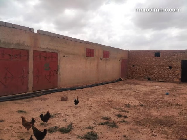 Ferme agricole équipée 10,5 hectares – Mzoudia — 4