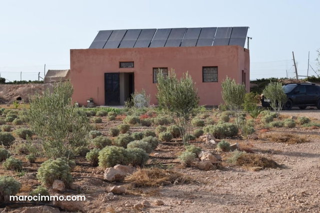 Ferme agricole équipée 10,5 hectares – Mzoudia — 5