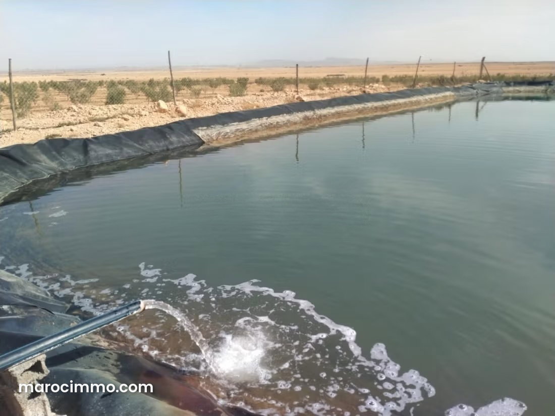 Ferme agricole 10,5 ha, Route Essaouira, Marrakech à vendre — Marrakech