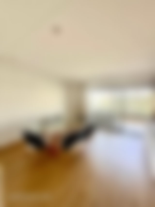 Appartement meublé 120 m², terrasse plein sud, Ferme Bretone — 5