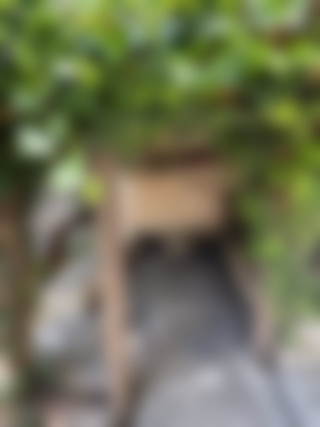 Villa 8 chambres sur 680 m² de terrain, Marchan, Tanger — 4