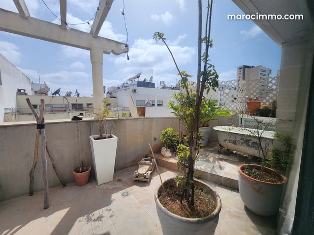 Appartement exceptionnel 2 chambres terrasse — 2